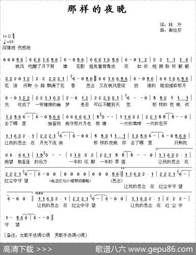 那样的夜晚 - 林升|崔治安