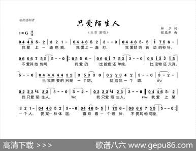 只爱陌生人 - 林夕|张亚东