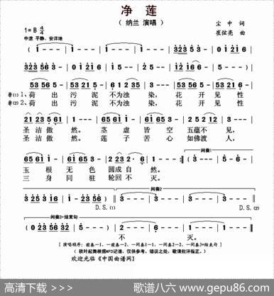 净莲 - 尘中|崔弦亮
