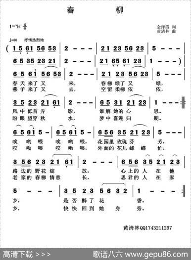 春柳 - 金泽霞|黄清林
