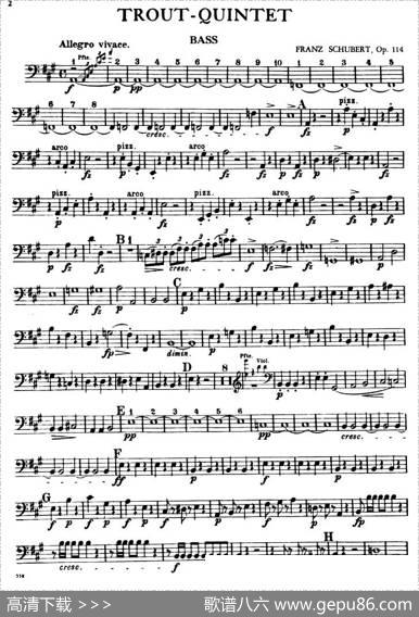 TROUTQUINTET（鳟鱼五重奏）（BASS分谱）|舒伯特