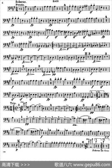 TROUTQUINTET（鳟鱼五重奏）（BASS分谱）|舒伯特