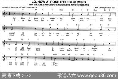 LO,HOWAROSEE'ERBLOOMING