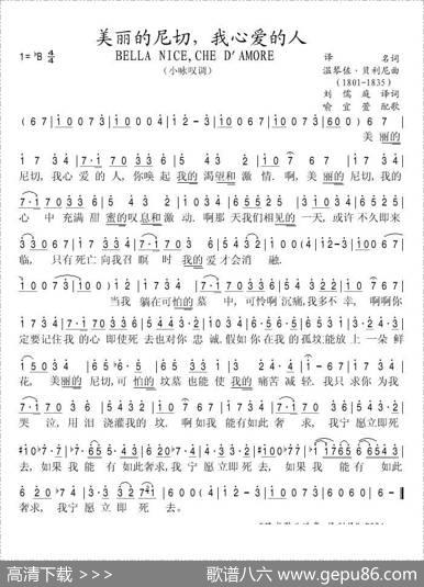 美丽的尼切，我心爱的人
