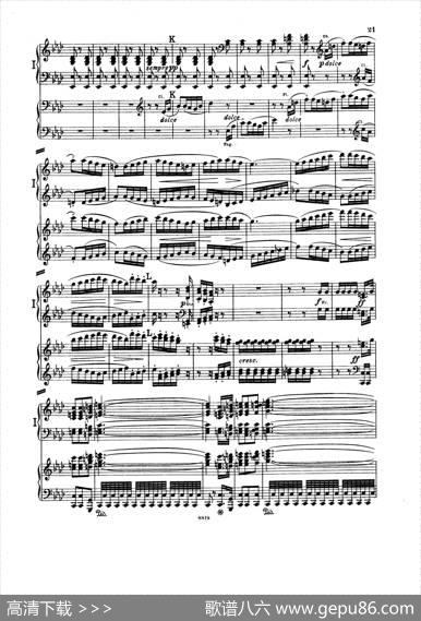 SymphonyNo.5incMinorOp.67（双钢琴版第1——2乐章）|路德维希·冯·贝多芬