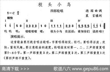 枝头小鸟 - 裴言