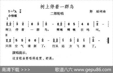 树上停着一群鸟 - 郭瑶|郭瑶
