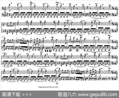12首为孩子们而作的四手联弹曲Op.85（四手联弹）（11）|罗伯特·舒曼