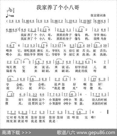 我家养了个小八哥 - 张宏梁|张宏梁