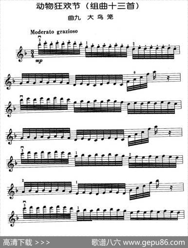 动物狂欢节组曲：九、大鸟笼|[法]圣桑原曲、马景林改编