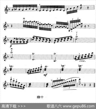 动物狂欢节组曲：九、大鸟笼|[法]圣桑原曲、马景林改编