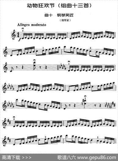 动物狂欢节组曲：十、钢琴家|[法]圣桑原曲、马景林改编