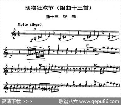 动物狂欢节组曲：十三、终曲|[法]圣桑原曲、马景林改编