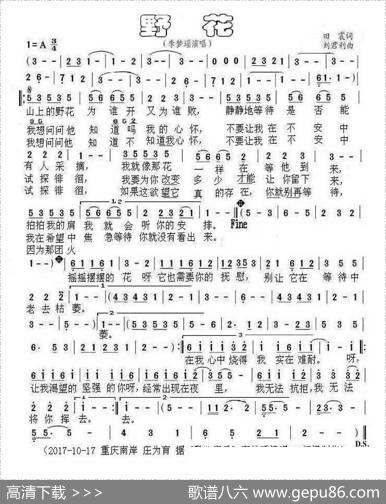 野花（田震词刘君利曲） - 田震|刘君利