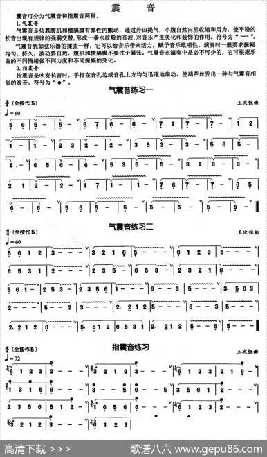 葫芦丝基本技巧练习曲——震音