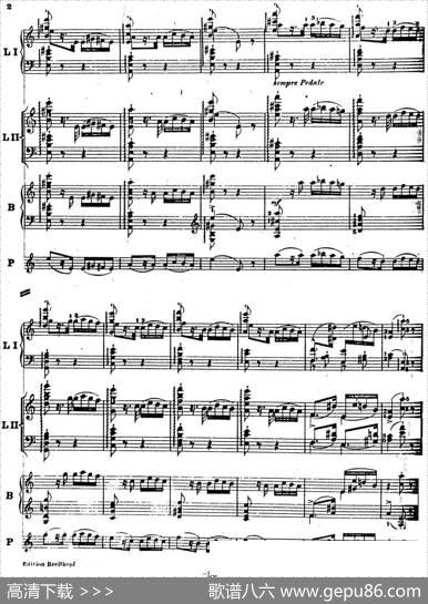 6首帕格尼尼大练习曲（ThemamitVariationenEtudeNr.6）|弗兰茨·李斯特