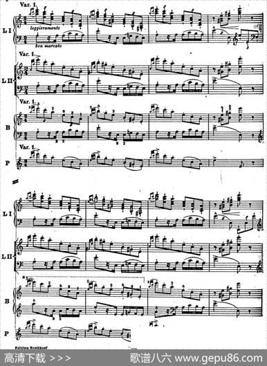 6首帕格尼尼大练习曲（ThemamitVariationenEtudeNr.6）|弗兰茨·李斯特