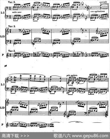 6首帕格尼尼大练习曲（ThemamitVariationenEtudeNr.6）|弗兰茨·李斯特