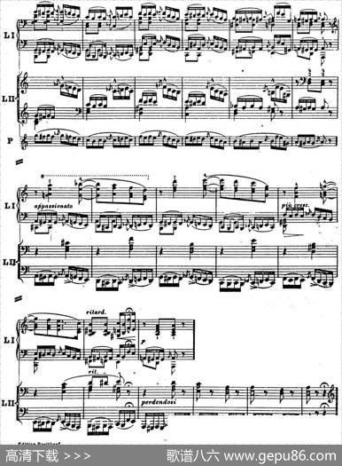 6首帕格尼尼大练习曲（ThemamitVariationenEtudeNr.6）|弗兰茨·李斯特