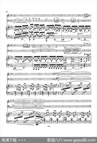 PianoTrioNo.3incMinorOp.101（c小调第三钢琴三重奏）|约翰内斯·勃拉姆斯