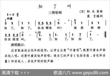 知了叫 - 裴言