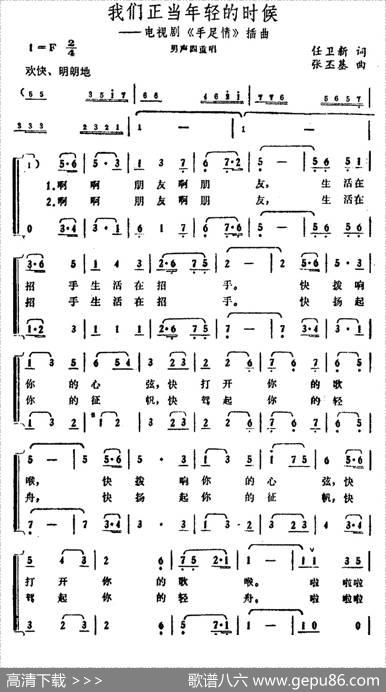 我们正当年轻的时候（电视剧《手足情》插曲） - 任卫新|张丕基