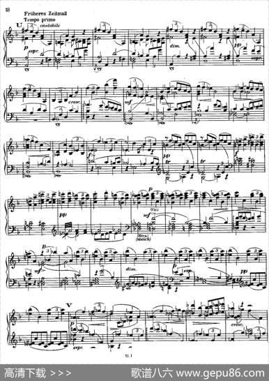 SymphonyNo.3indMinor-SoloPiano（d小调第三交响曲·钢琴独奏版·Ⅰ）|安东·布鲁克纳