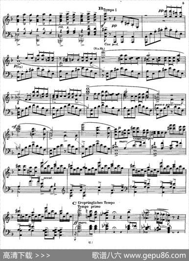 SymphonyNo.3indMinor-SoloPiano（d小调第三交响曲·钢琴独奏版·Ⅰ）|安东·布鲁克纳