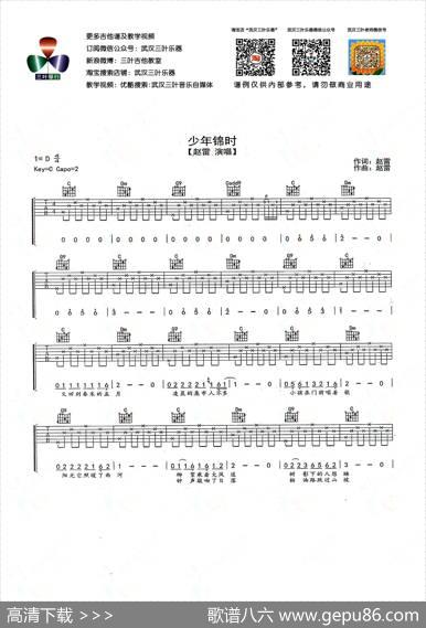 少年锦时（武汉三叶乐器编配版） - 赵雷|赵雷