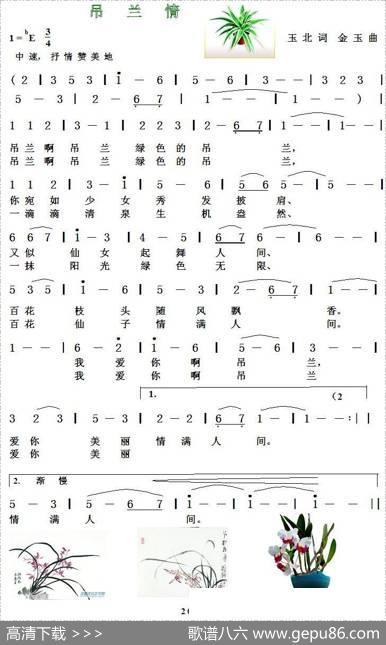 吊兰情 - 玉北|金玉