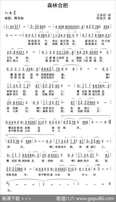 森林合肥 - 王本昌|何炎吉