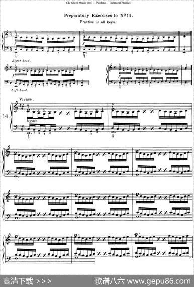 TechnicalStudies60ProgressiveExercises（60首钢琴循序渐进练习曲P21——30）|约瑟夫·皮史纳