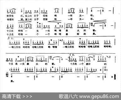金灿灿的黄土塬 - 晨枫|常士继