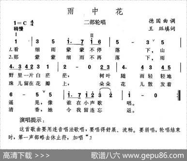 雨中花 - 王珏填词
