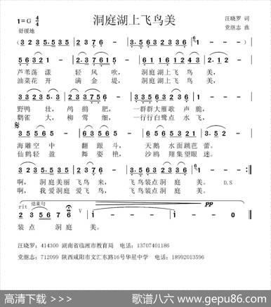 洞庭湖上飞鸟美 - 汪晓罗|党继志