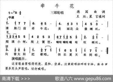 牵牛花（王珏填词版）