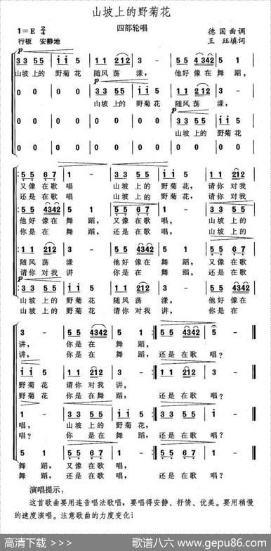 山坡上的野菊花（四部轮唱） - 王珏