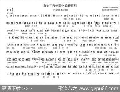 有为王我金殿上观看仔细（《打金枝》唐王唱段）
