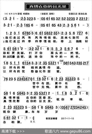 真情在你的目光里 - 张俊以|徐沛东