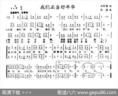 我们正当好年华 - 杨靳葆|张耀