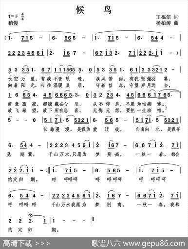 候鸟 - 王福信|杨柏涛
