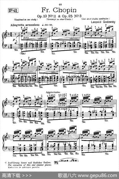 53首改编练习曲（No.48）|里奥鲍尔德·戈多夫斯基