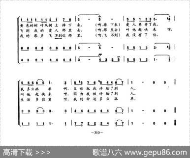 [波兰]小鸟（女声合唱）