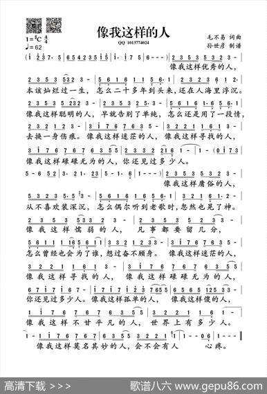 像我这样的人（孙世彦制谱版） - 毛不易|毛不易