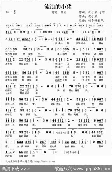 流浪的小猪 - 夜子寒、子墨|夜子寒