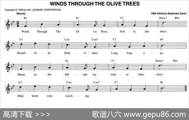 WINDSTHROUGHTHEOLIVETREES
