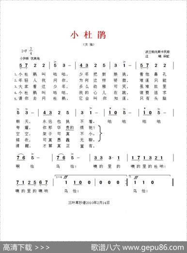 [波兰]小杜鹃