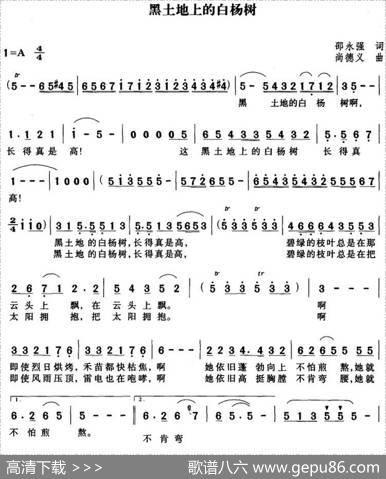 黑土地上的白杨树 - 邵永强|尚德义