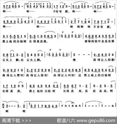 黑土地上的白杨树 - 邵永强|尚德义