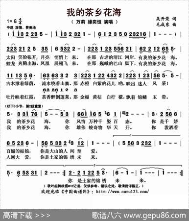 我的茶乡花海